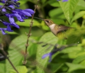 2023 09 17 LongFellowGardens 028